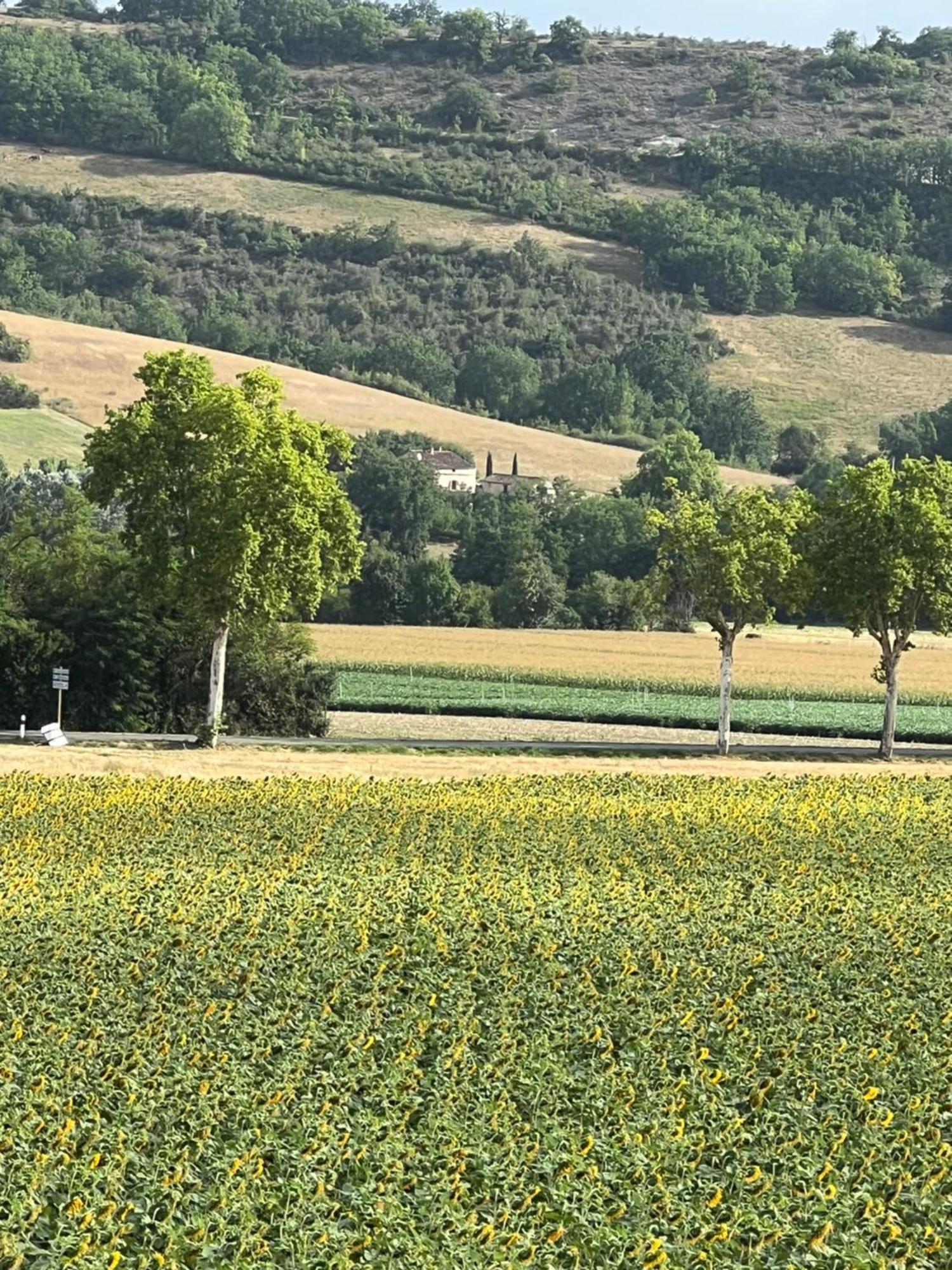 La Bastide De La Bogne Bed & Breakfast Vindrac-Alayrac Exterior foto